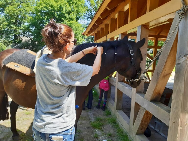 Eltern Kind Reitwochenende