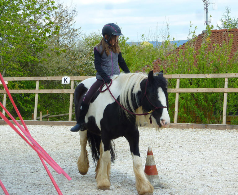 Pferdeausbildung bei Rolli auf Trab