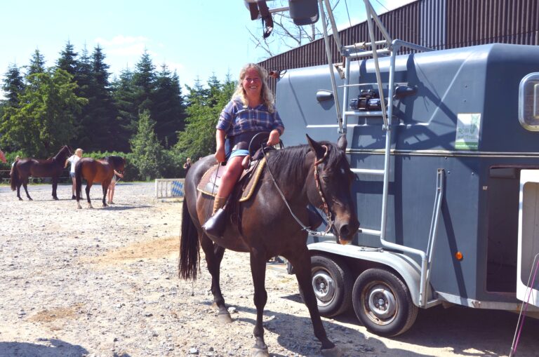 Elektrische Aufstiegshilfe zum reiten für Rollstuhlfahrer